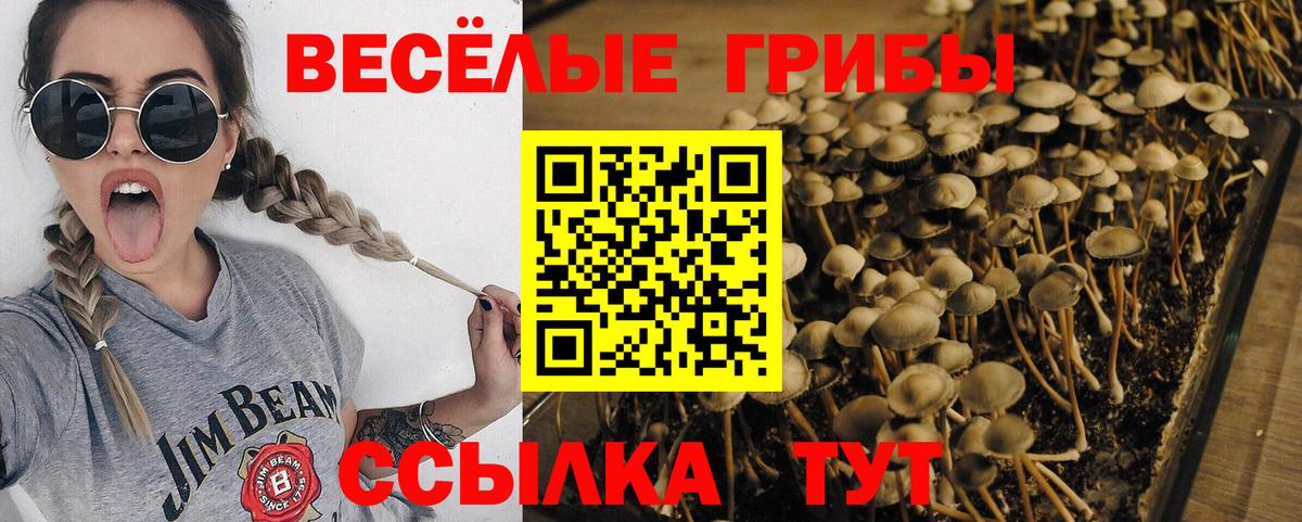 Галлюциногенные грибы мицелий Зима