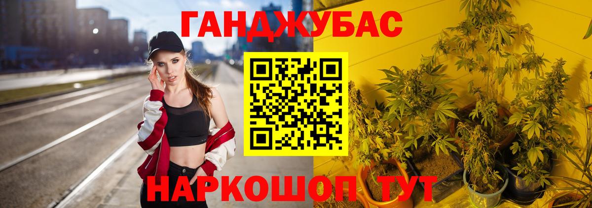 Зима  Канабис сатива  Вход с VPN  Каннабис план  Бошки Шишки MAZAR 